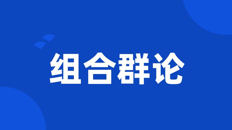组合群论