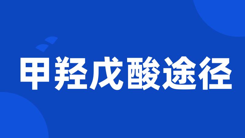 甲羟戊酸途径
