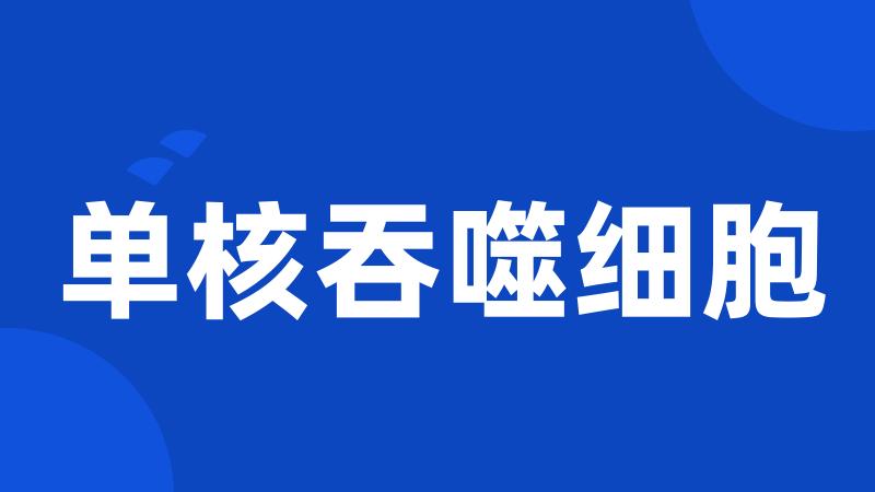 单核吞噬细胞