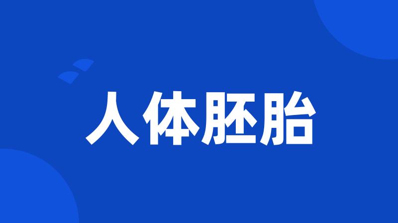 人体胚胎