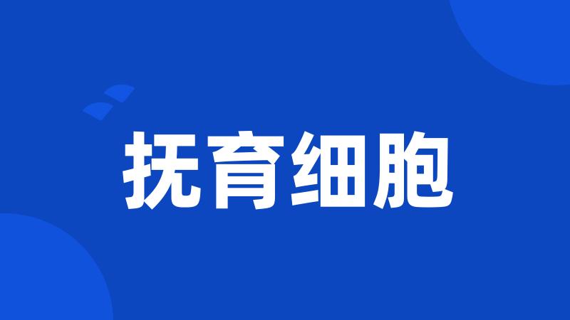 抚育细胞