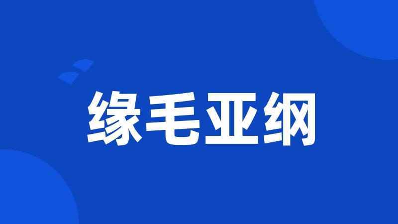 缘毛亚纲