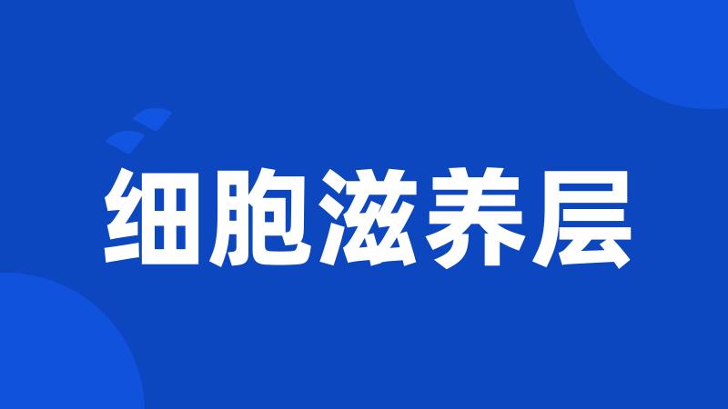 细胞滋养层