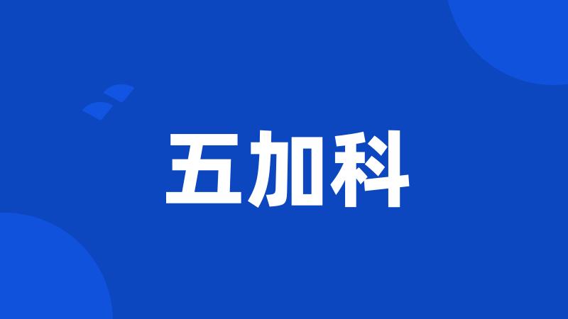 五加科