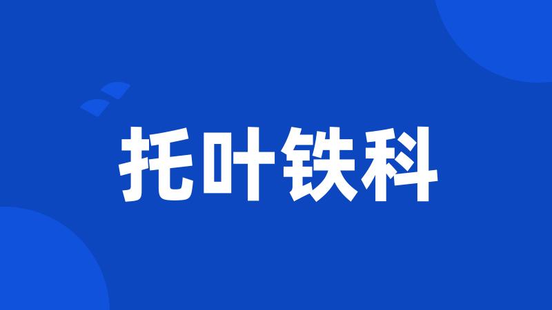 托叶铁科