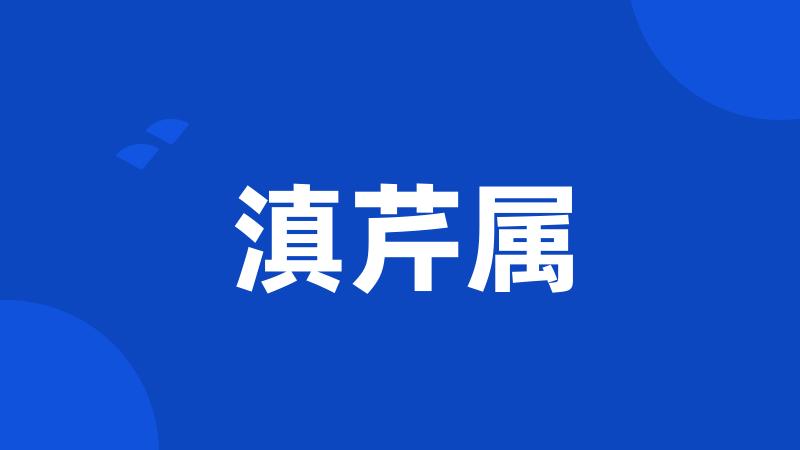 滇芹属