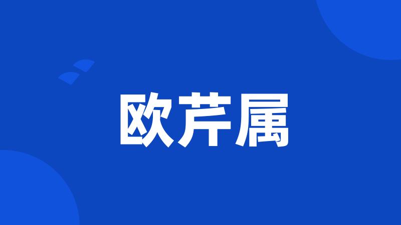 欧芹属