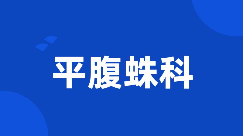 平腹蛛科