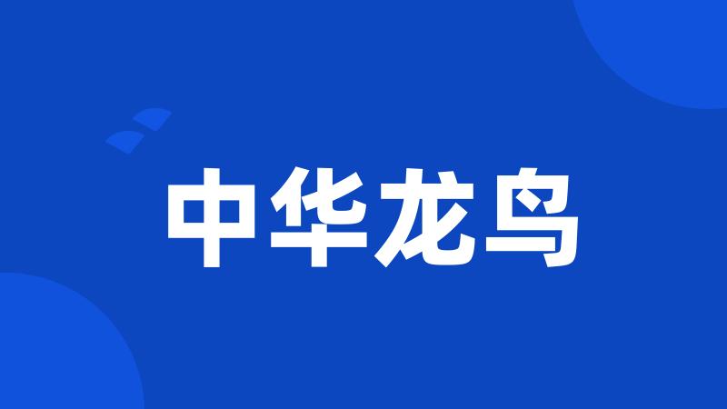 中华龙鸟