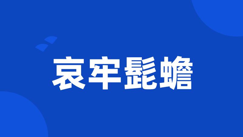 哀牢髭蟾