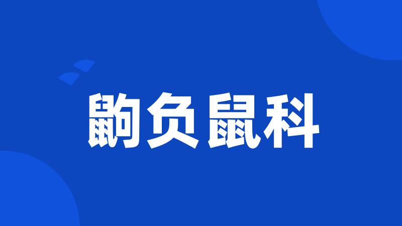 鼩负鼠科