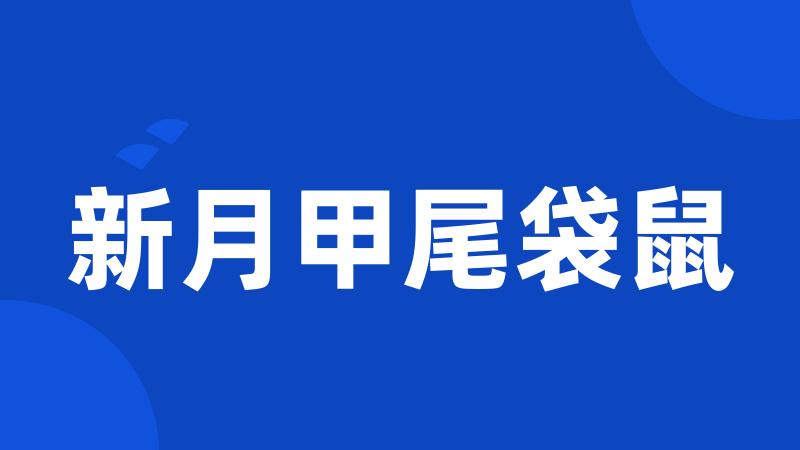 新月甲尾袋鼠