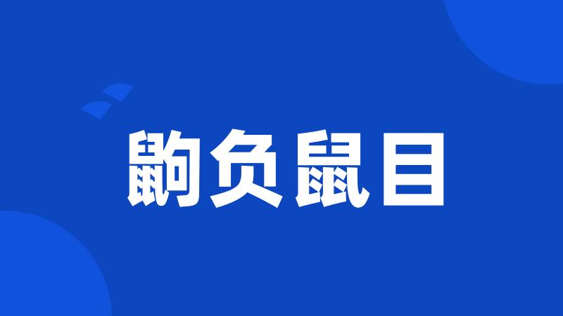鼩负鼠目