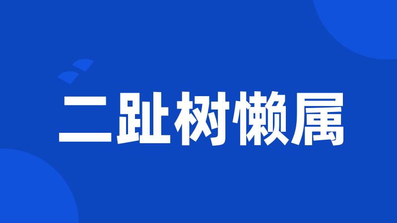 二趾树懒属