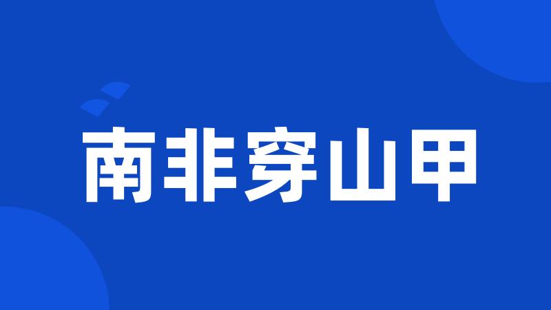 南非穿山甲