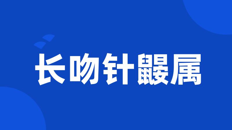 长吻针鼹属