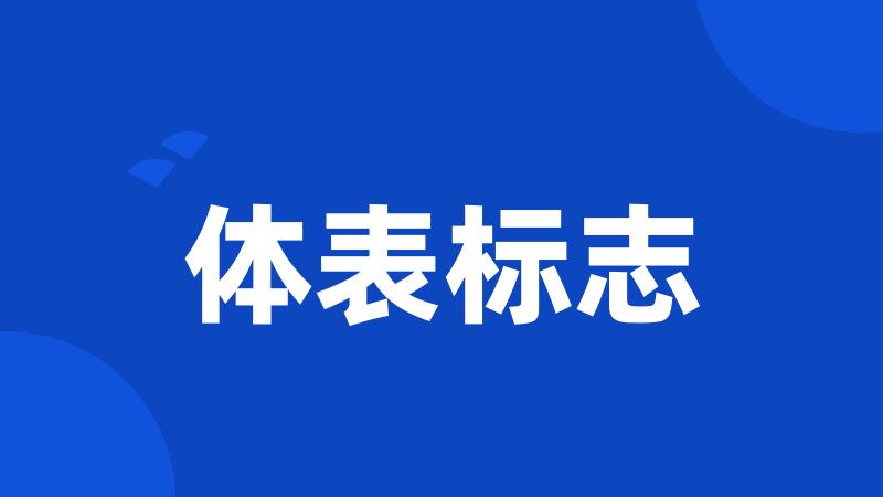 体表标志