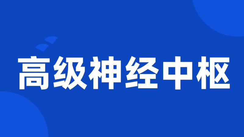 高级神经中枢