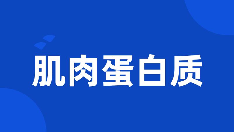 肌肉蛋白质