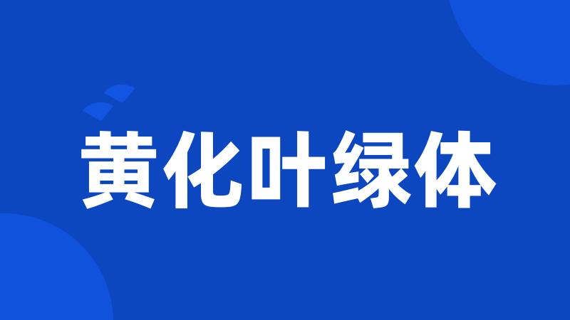 黄化叶绿体
