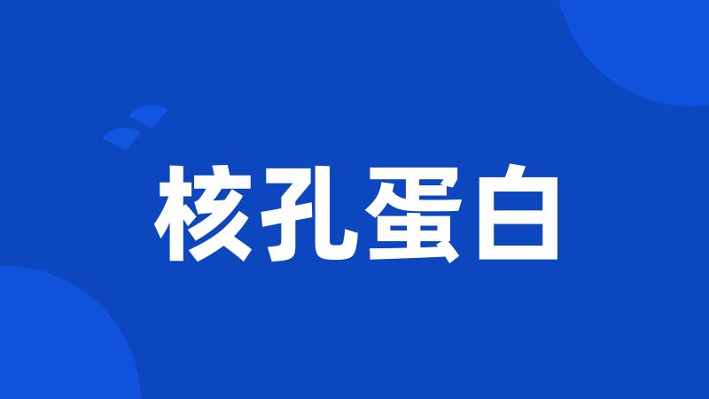 核孔蛋白
