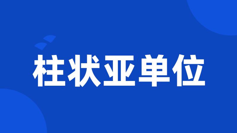 柱状亚单位