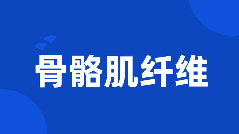 骨骼肌纤维