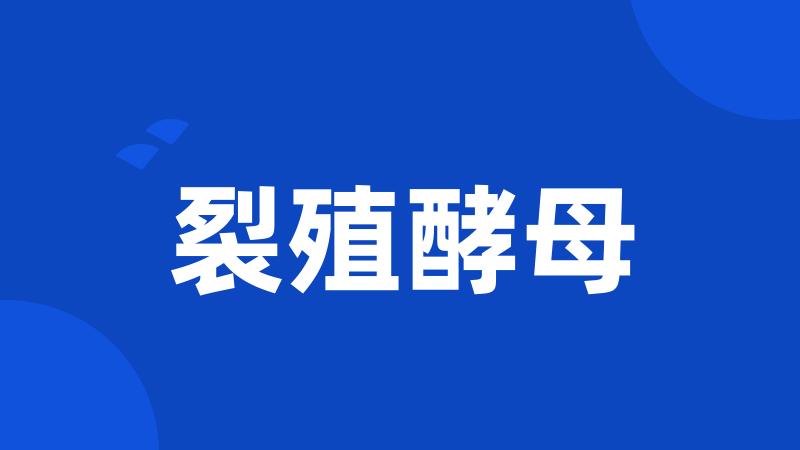 裂殖酵母