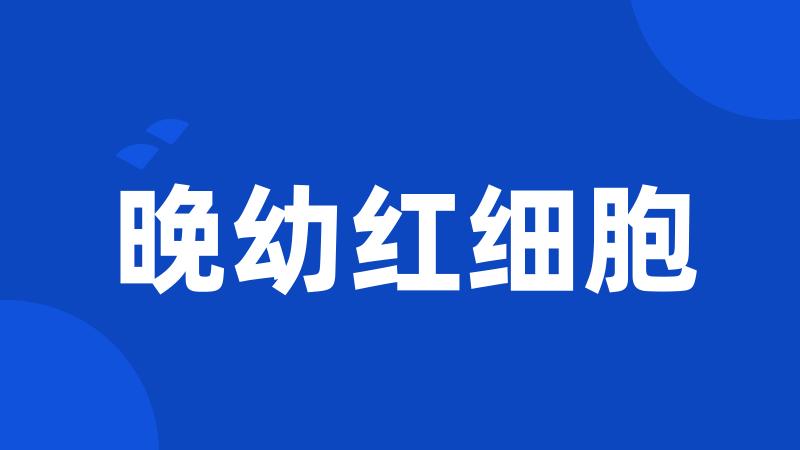 晚幼红细胞