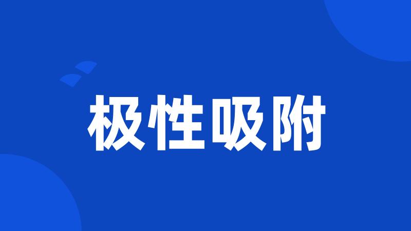 极性吸附
