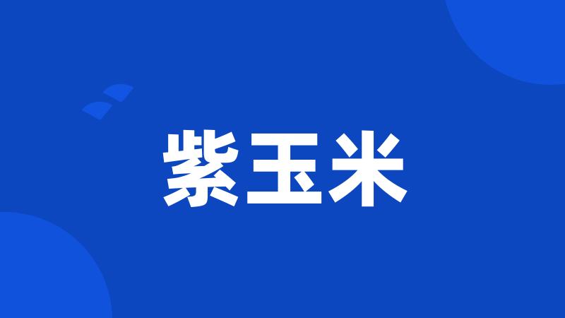 紫玉米