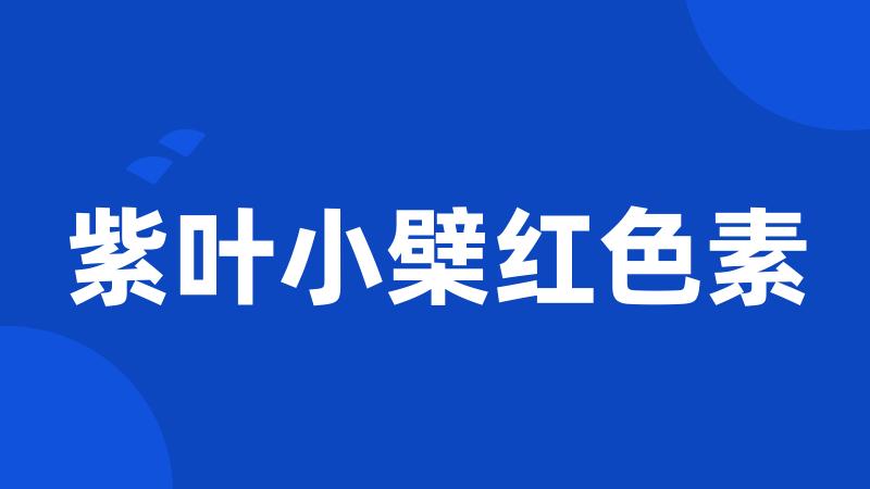 紫叶小檗红色素