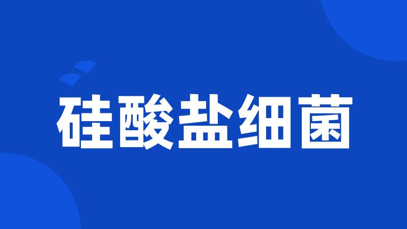 硅酸盐细菌