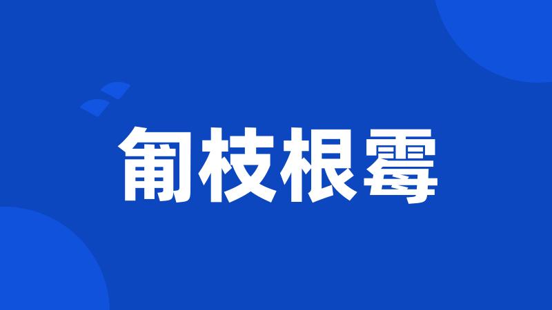 匍枝根霉