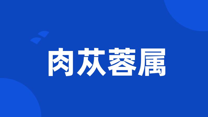 肉苁蓉属