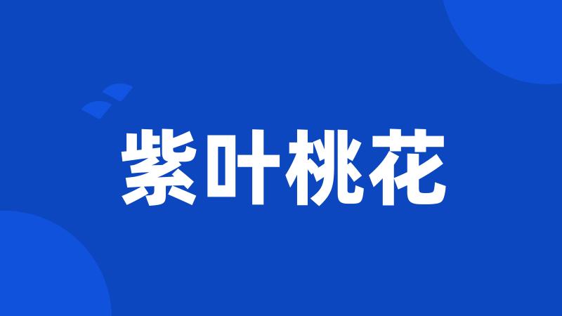 紫叶桃花