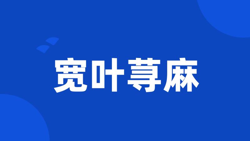 宽叶荨麻