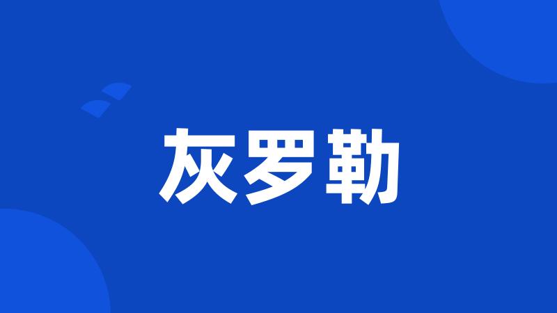 灰罗勒
