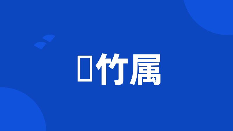 箣竹属