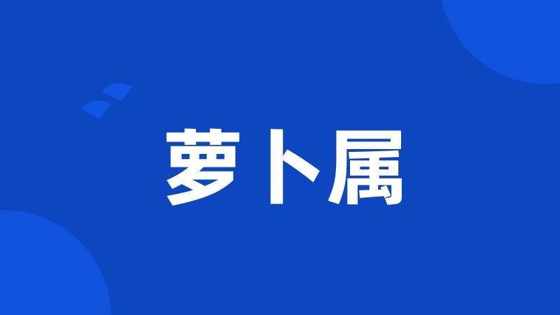 萝卜属