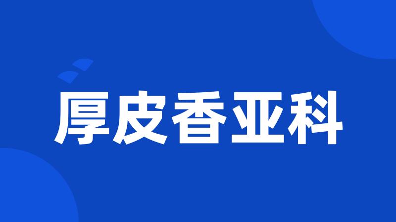 厚皮香亚科