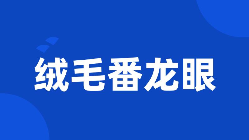 绒毛番龙眼