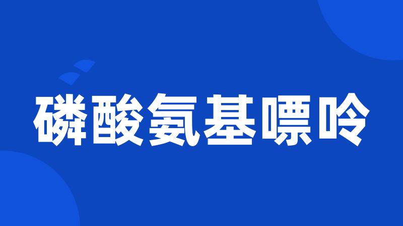 磷酸氨基嘌呤