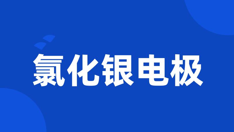 氯化银电极