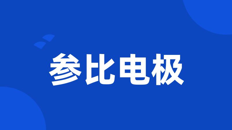参比电极