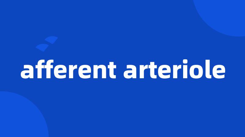 afferent arteriole