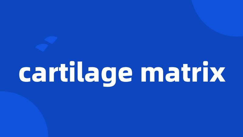 cartilage matrix