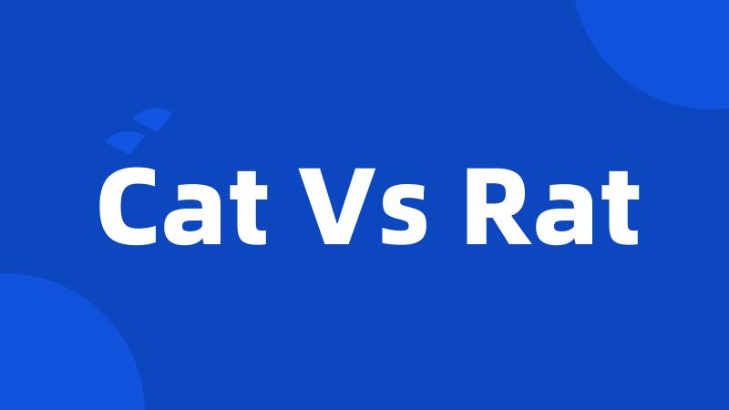 Cat Vs Rat