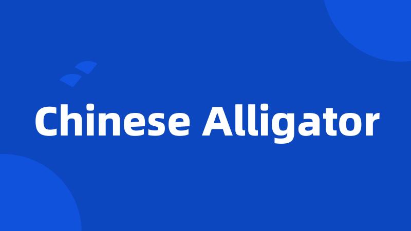 Chinese Alligator