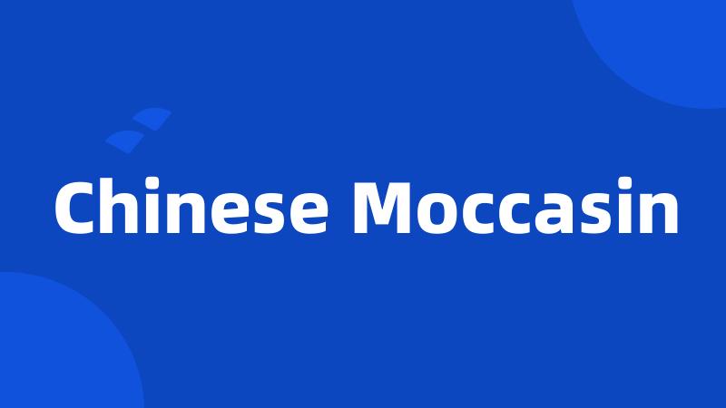 Chinese Moccasin